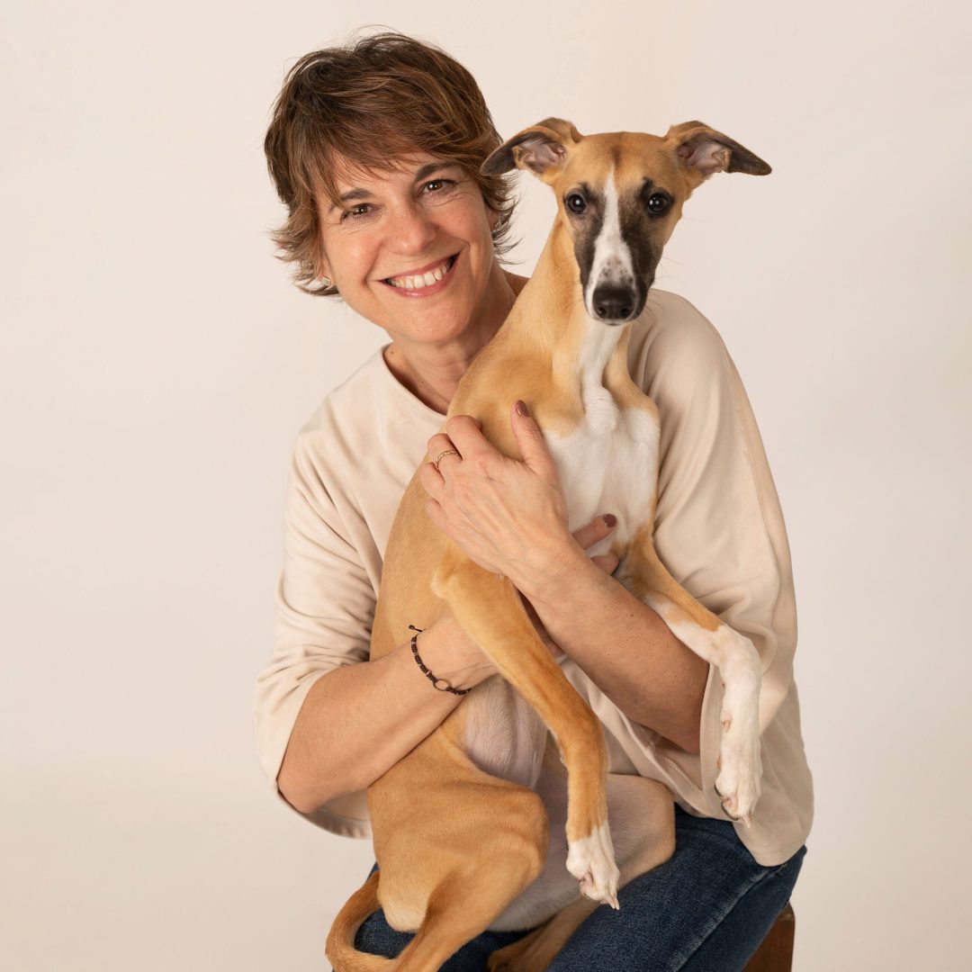 Fotografia-Mascotas-en-Zarago-Whippet-galgo11