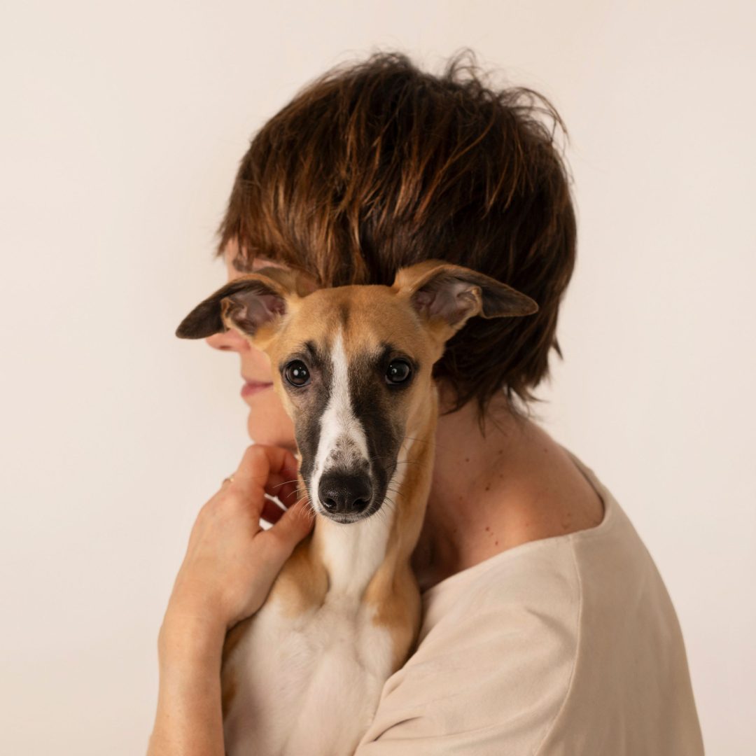 Fotografia-Mascotas-en-Zarago-Whippet-galgo12