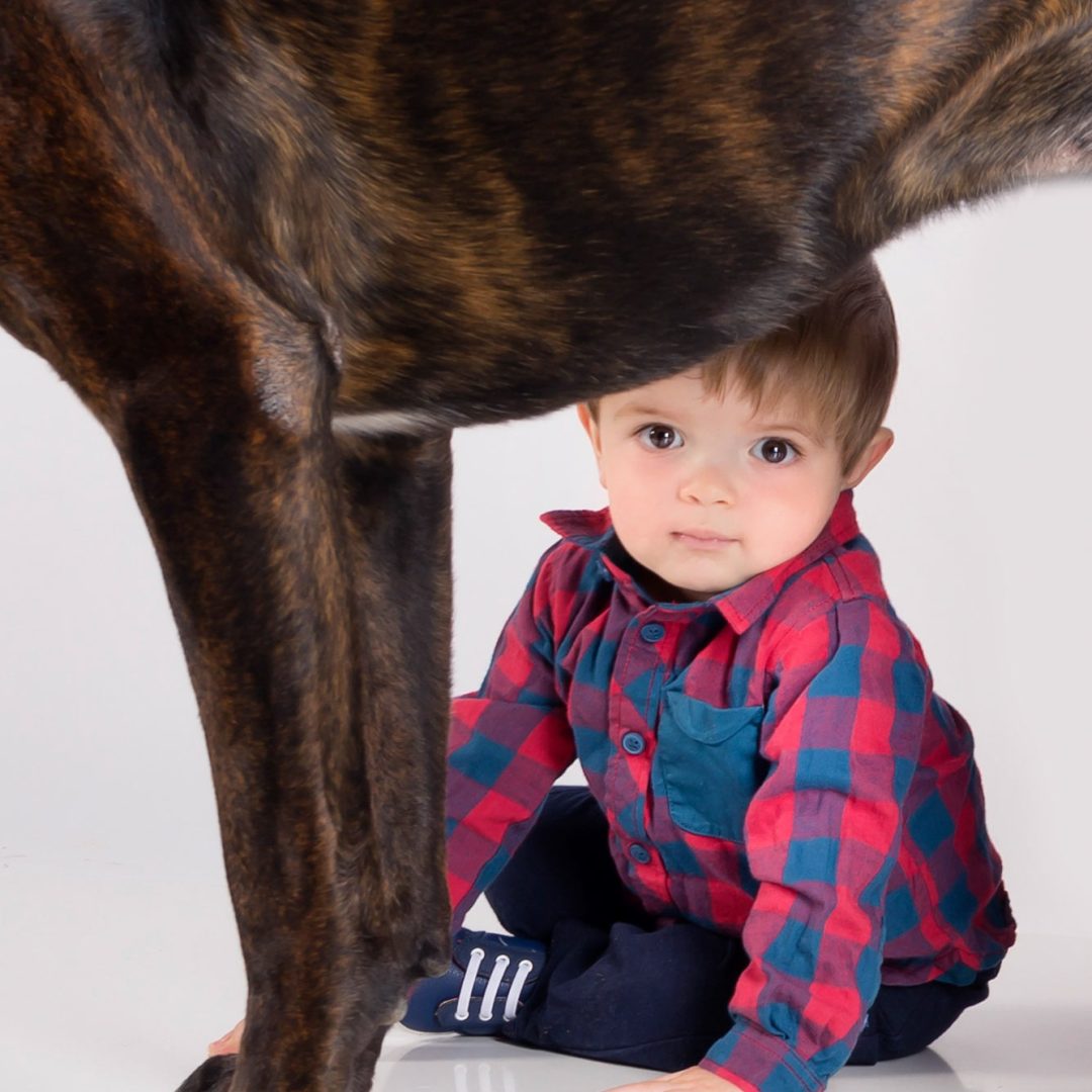 Fotografia-Mascotas-en-Zaragoza_Gabriela-Mallea_017-VRT